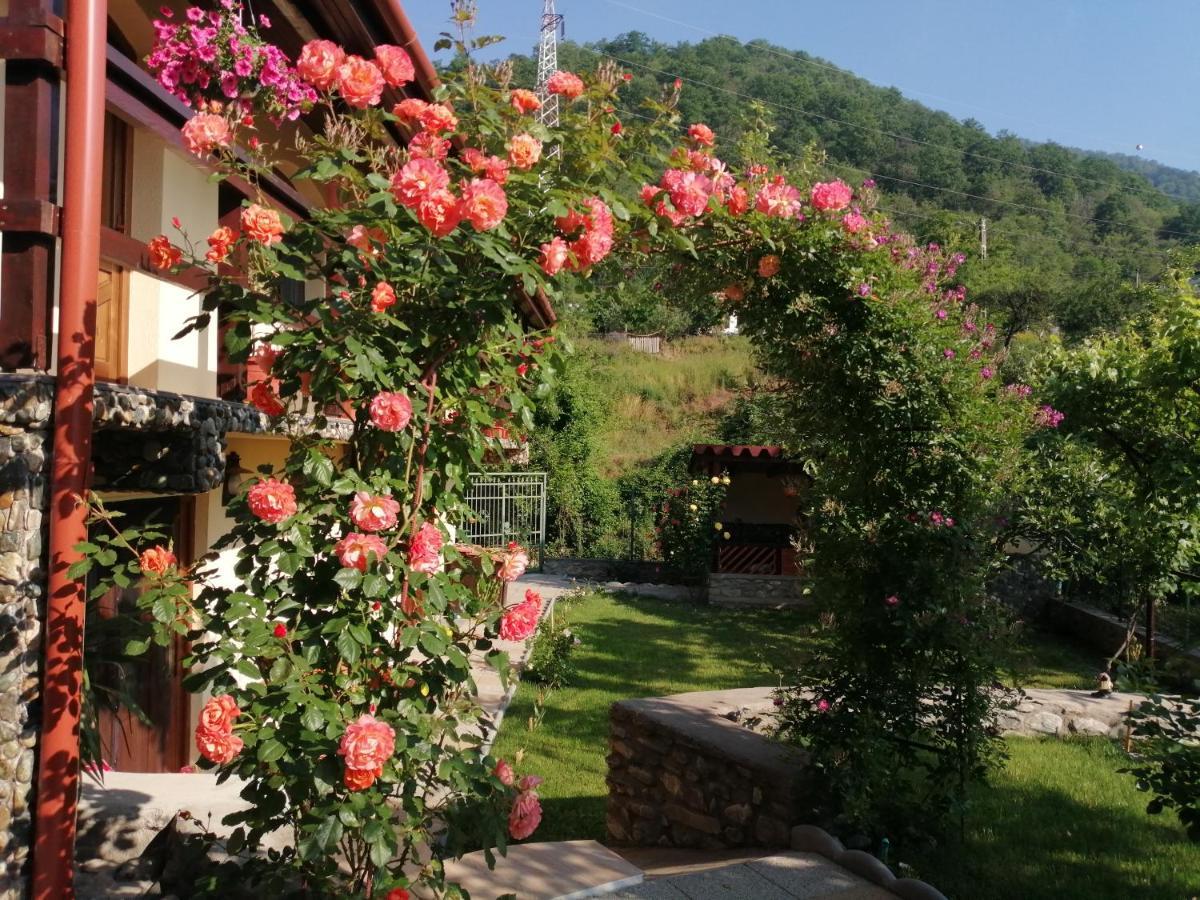 Casa Nirvana Konuk evi Dubova Dış mekan fotoğraf